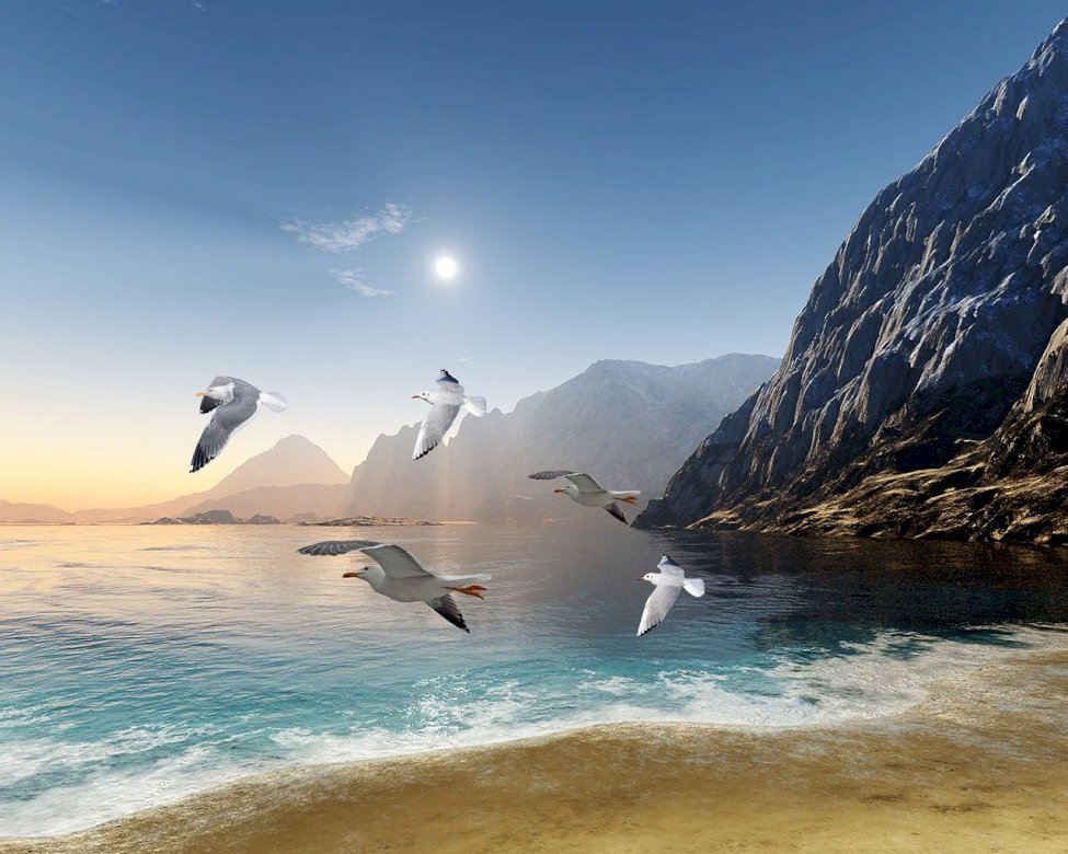 bela ilha com gaivotas quebra-cabeças online