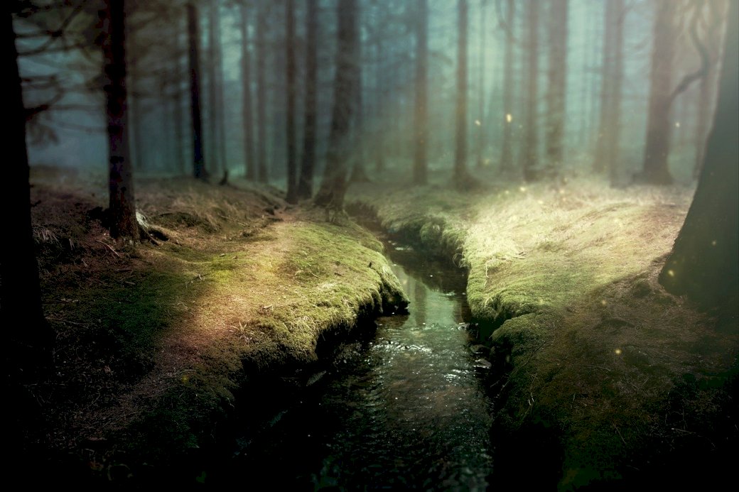 vacker förtrollad skog Pussel online