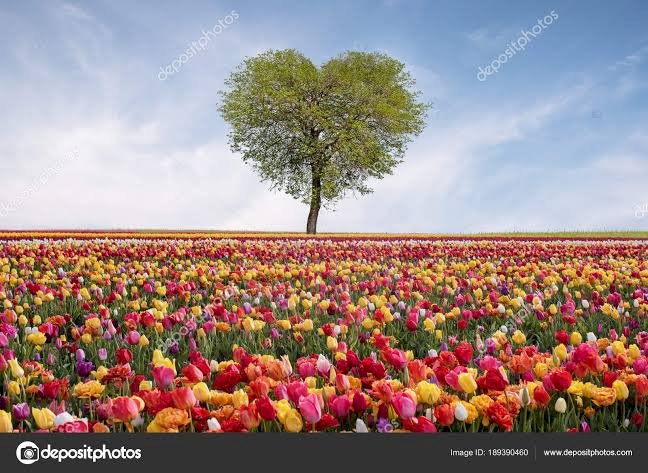 Roses avec. arbre coeur uwu puzzle en ligne