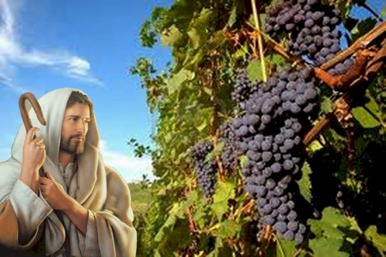 Jézus a szőlőben online puzzle