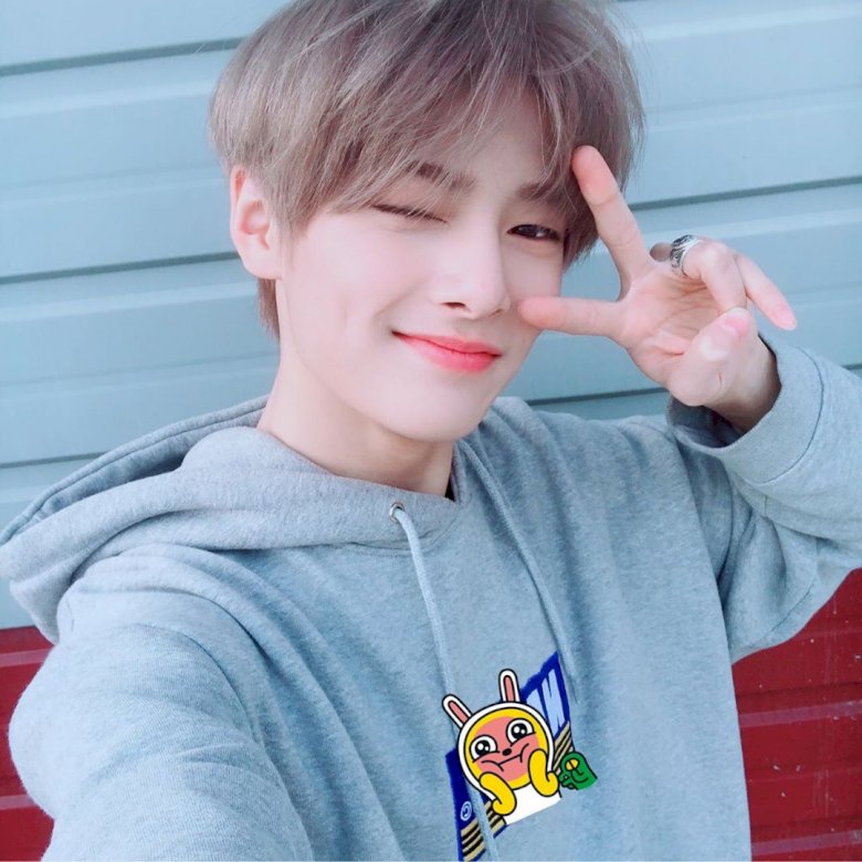 Yang Jeongin Online-Puzzle