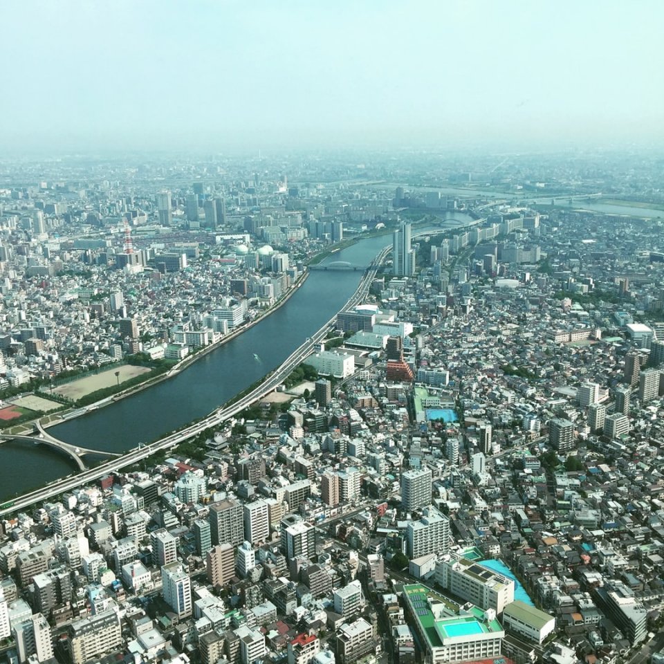 Tokio, příroda online puzzle