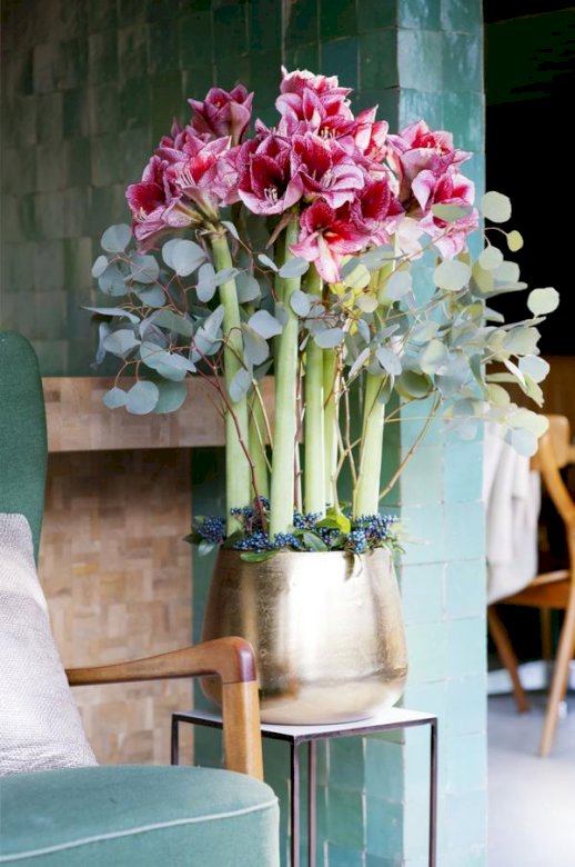 Невероятни цветя амалиса онлайн пъзел
