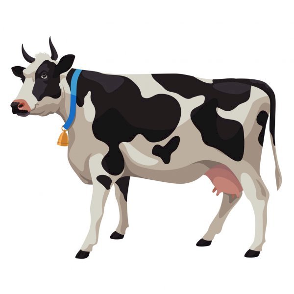 cow puzzle jigsaw puzzle