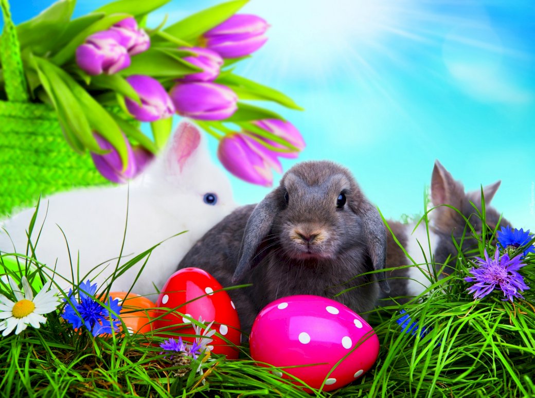 Κουνέλια και αυγά του Πάσχα online παζλ