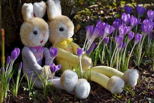 Rabbits and crocuses online puzzle