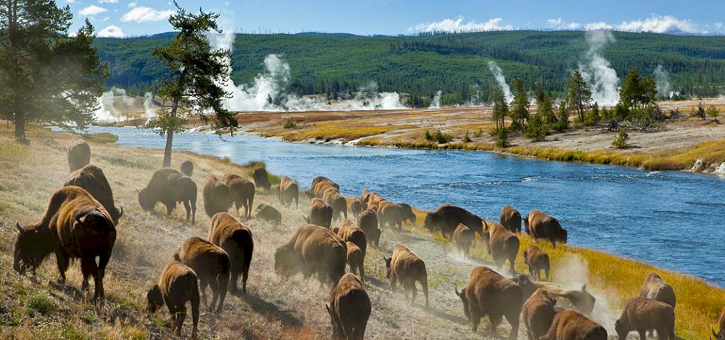 Yellowstone  παζλ online