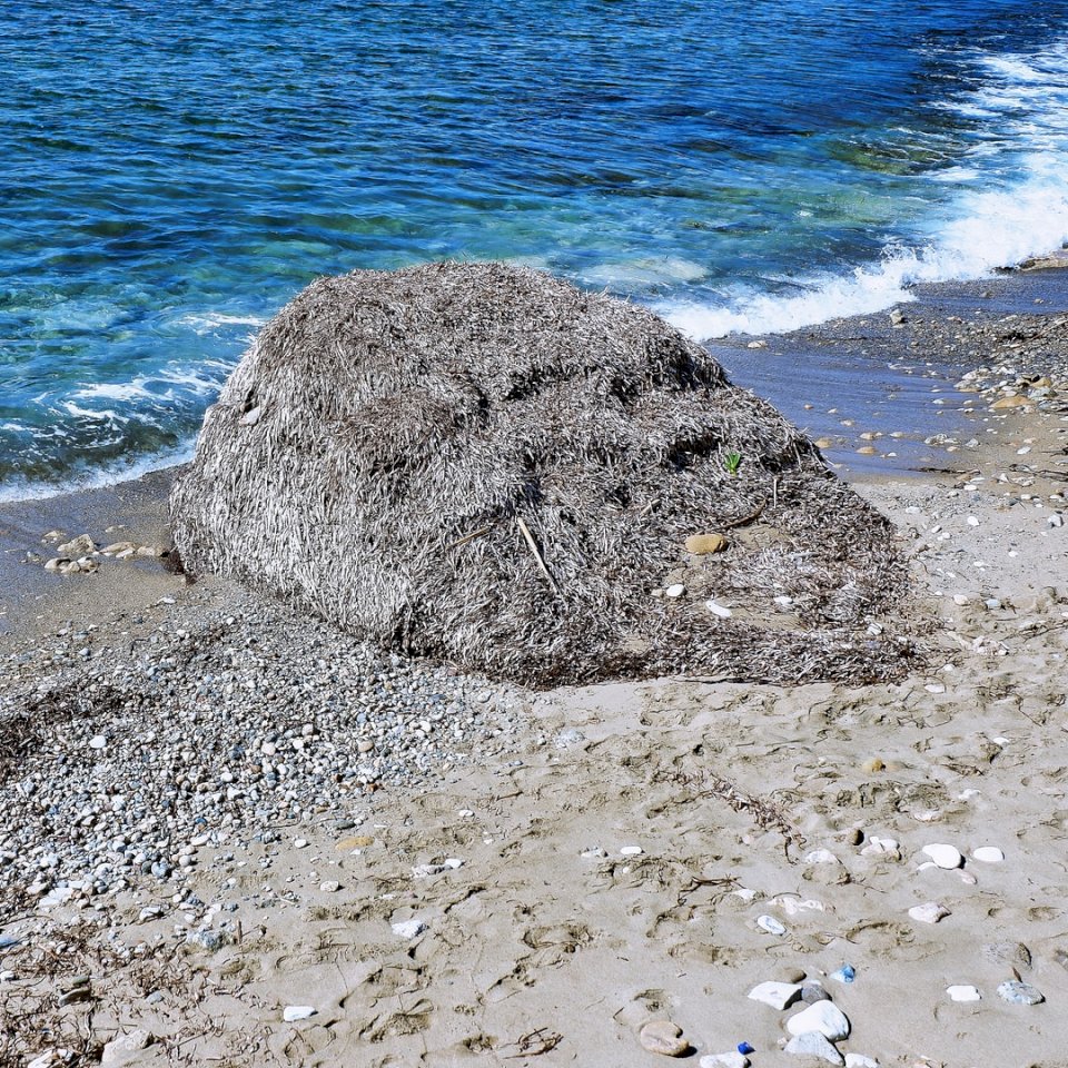 Fragmento - Paseo costero de Paphos rompecabezas en línea
