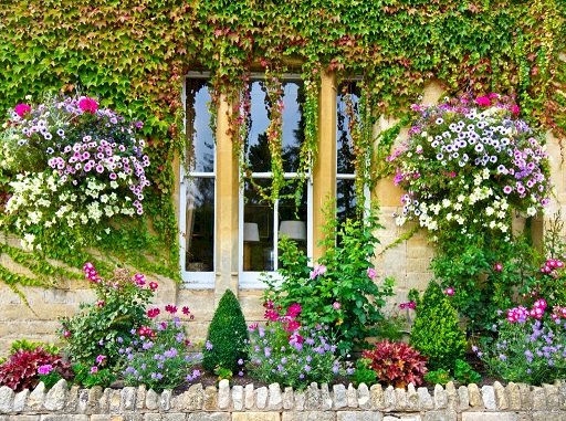 Градина под прозореца. онлайн пъзел