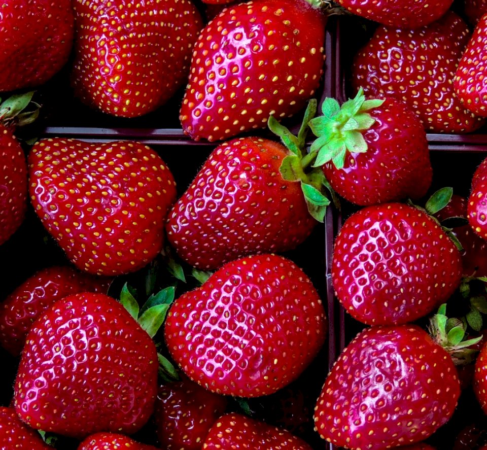 Roses are red. Strawberries jigsaw puzzle online