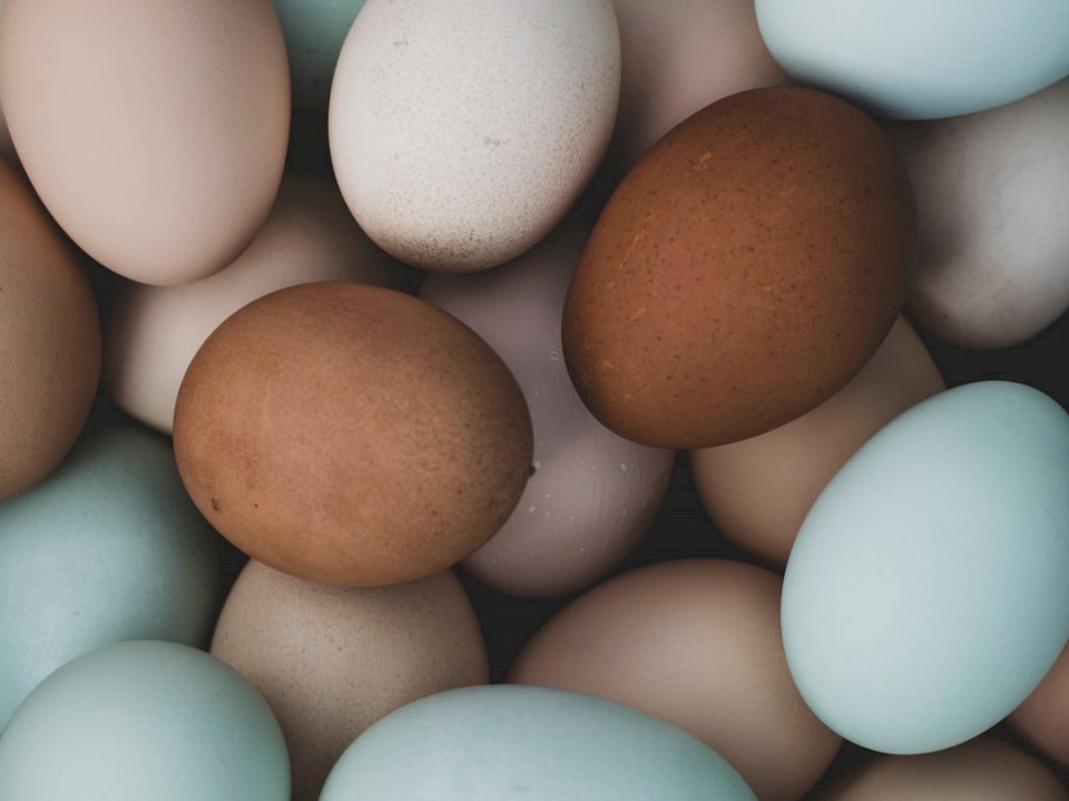 Αυγά ελεύθερης βοσκής παζλ online