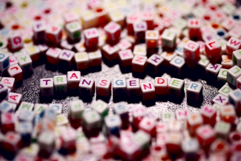 Letras transgénero para género rompecabezas en línea