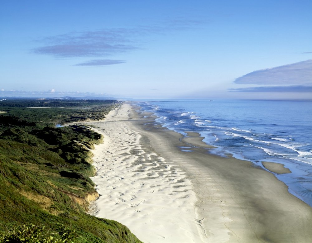 Dune lungo l'Oceano Pacifico puzzle online