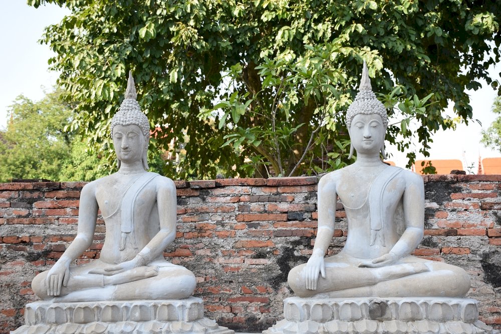 Budas en Ayutthaya Tailandia rompecabezas en línea
