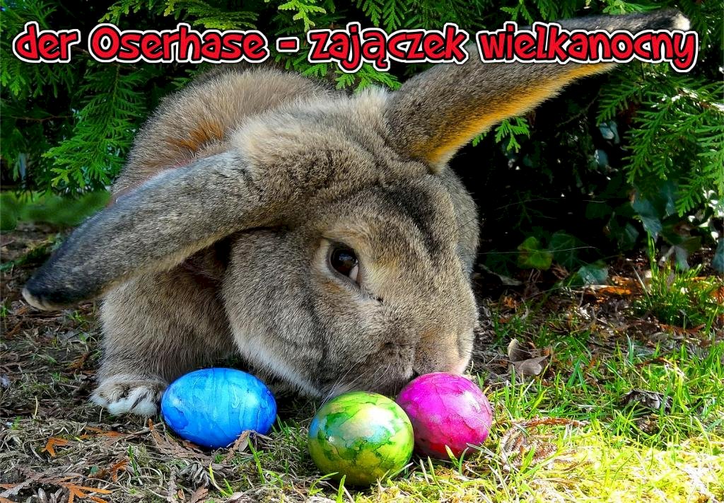 Osterhase jigsaw puzzle online