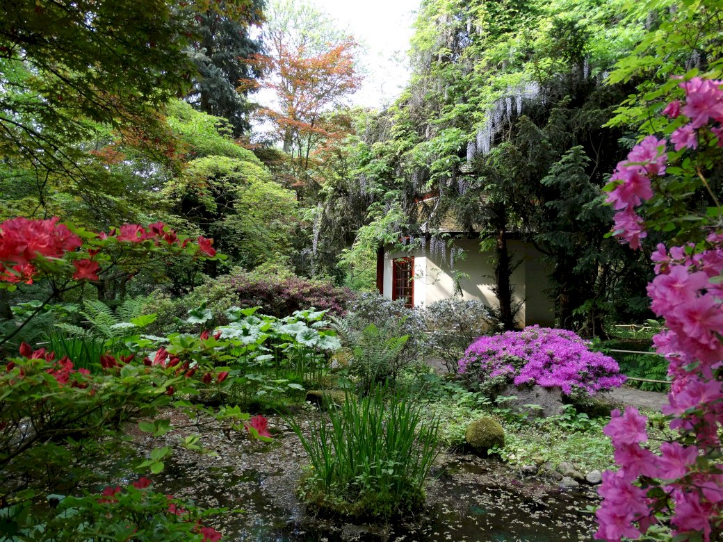 Японска градина Przelewice онлайн пъзел