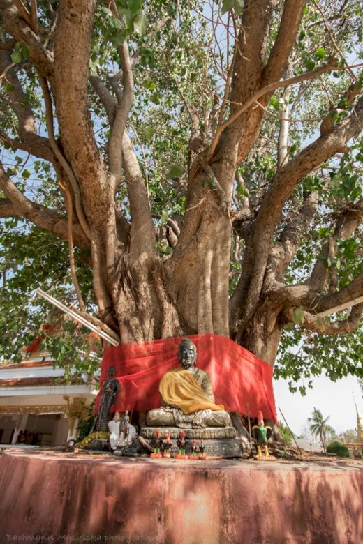 Bouddha Koh Samui puzzle en ligne