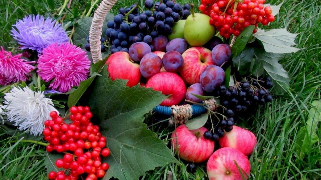 Fructe, flori, puzzle online