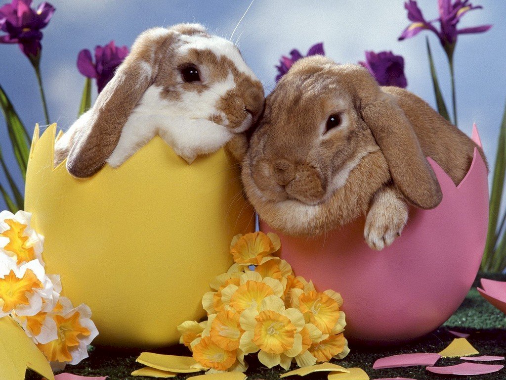 Easter rabbits. online puzzle