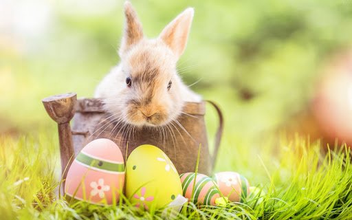 EASTER ANIMALS online puzzle