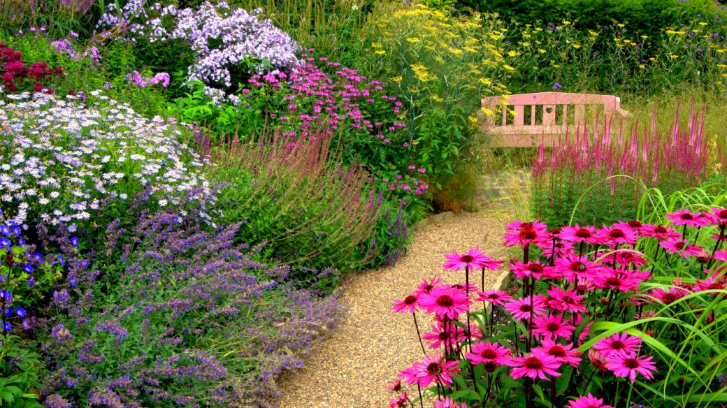Zahrada, květiny, lavička skládačky online