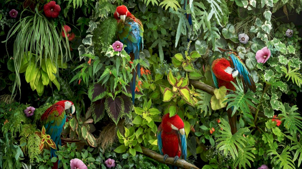 Papegojor, blad, blommor Pussel online