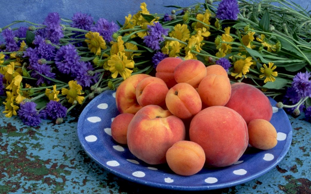 Aprikosen, Pfirsiche, Blumen Puzzlespiel online