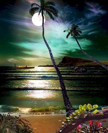 Hawaii at night jigsaw puzzle online