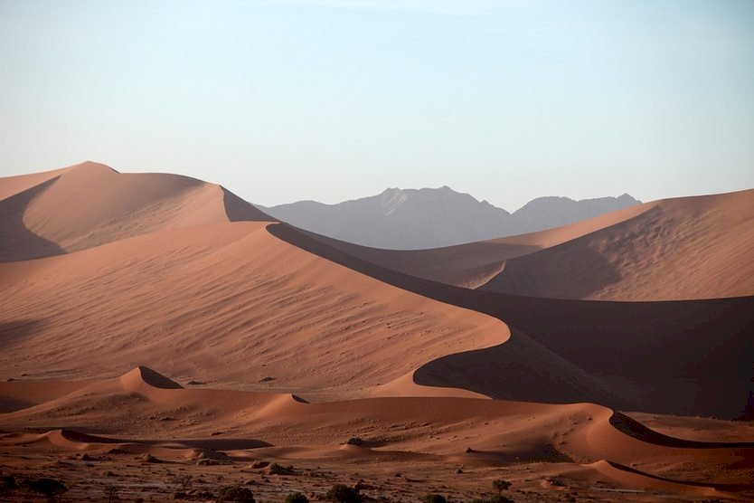 Saharská poušť. Afrika skládačky online