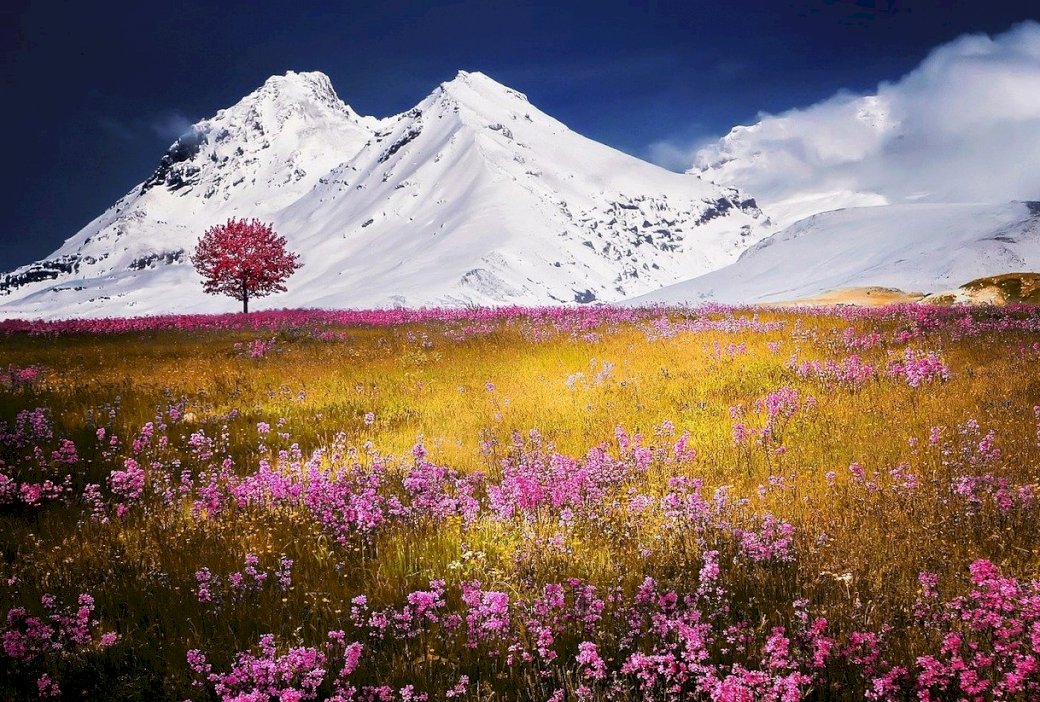 Panorama van de Alpen legpuzzel online