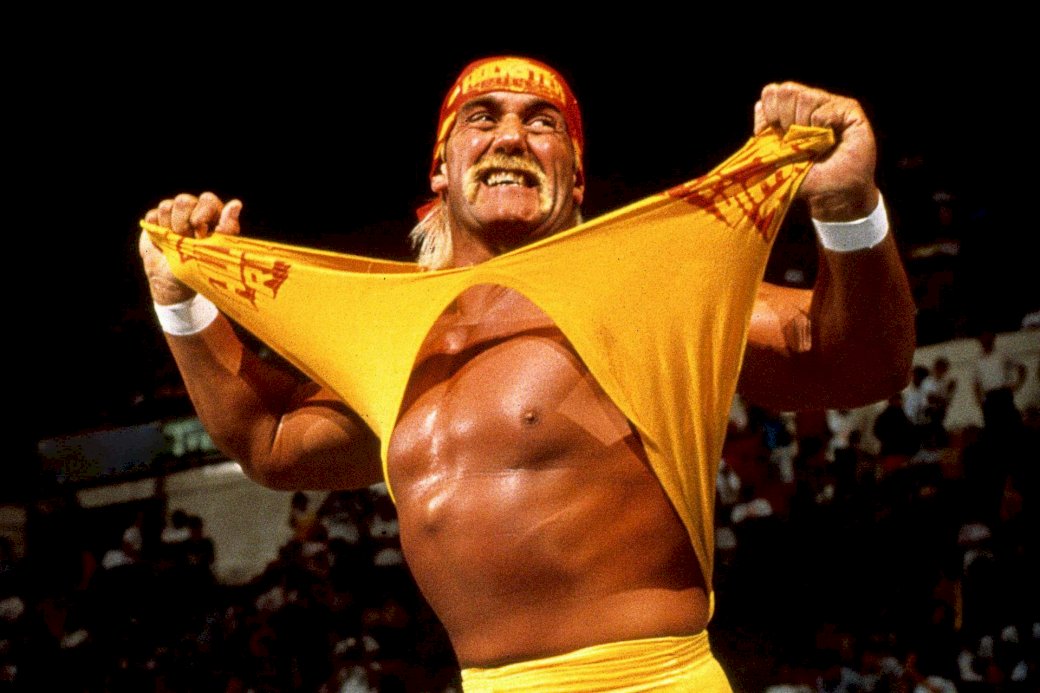 Hulk Hogan skládačky online