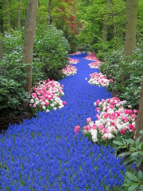 Пътека за цветя. онлайн пъзел