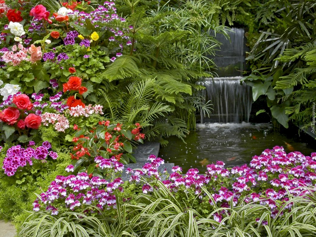 Jardín, flores, estanque rompecabezas en línea