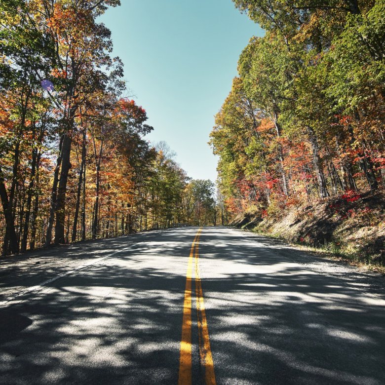 Road in the woods, West Virginia jigsaw puzzle online