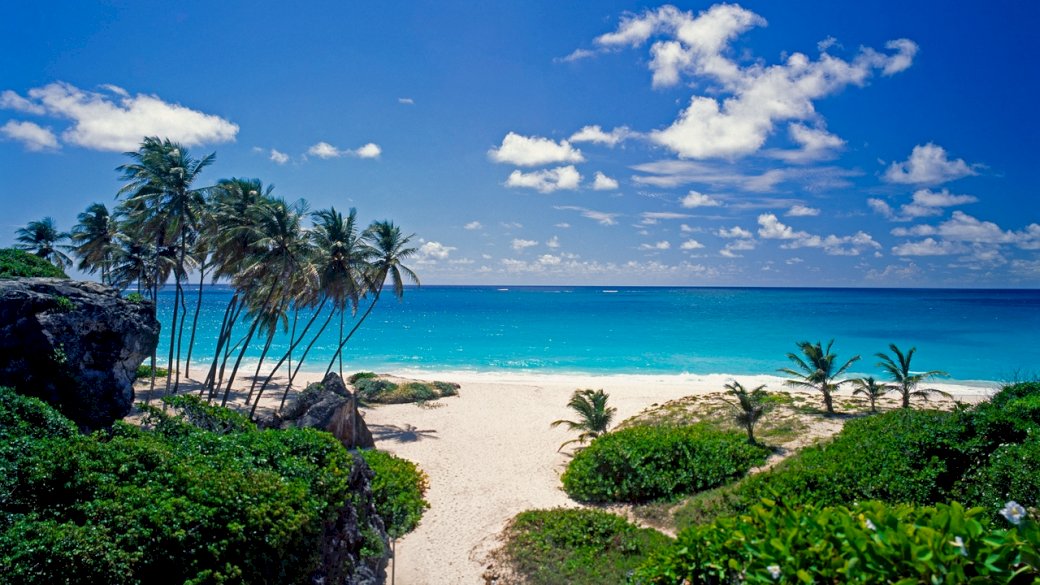 sea, sand, palm trees jigsaw puzzle online