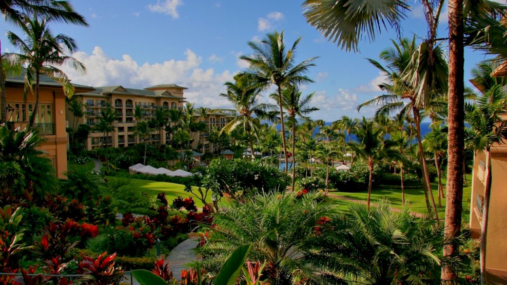 Havaj, hotel, palmy, bazén, moře, fl online puzzle