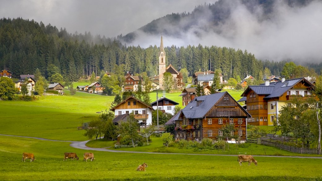 австрия, гозау, село, къщи, крави онлайн пъзел