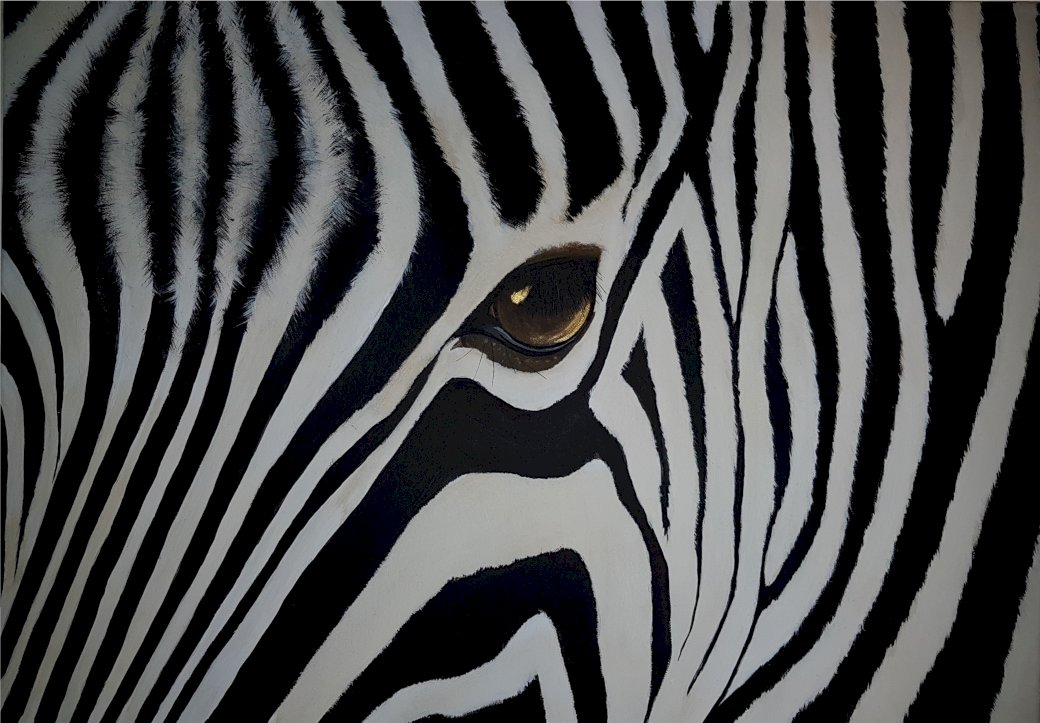 Zebra drawn online puzzle