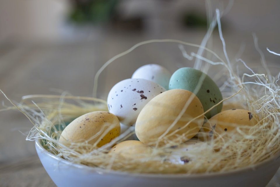 Egg-Easter-tavaszi-Haarlem online puzzle