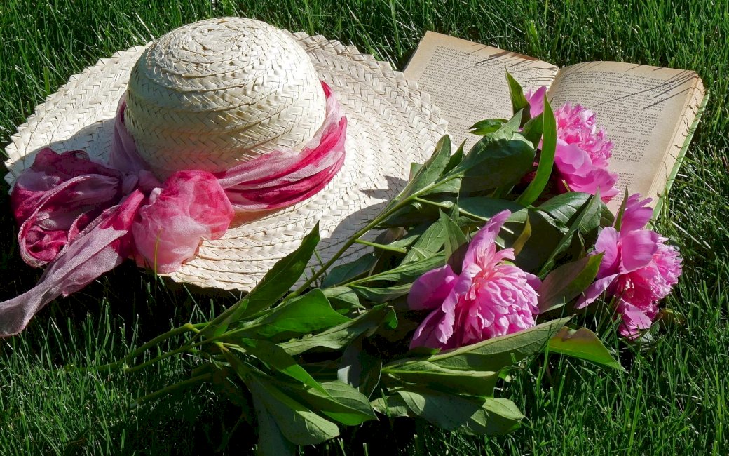 Pünkösdi rózsa, kalap, könyv online puzzle