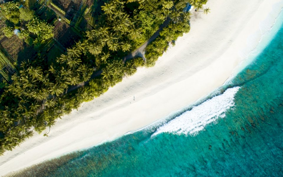 A saját atolljában található online puzzle
