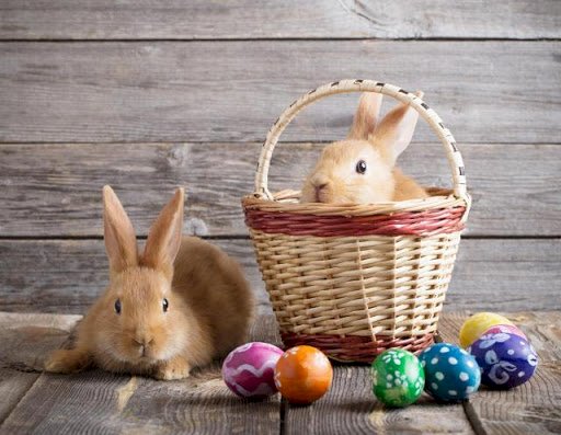 Easter Bunnies jigsaw puzzle online