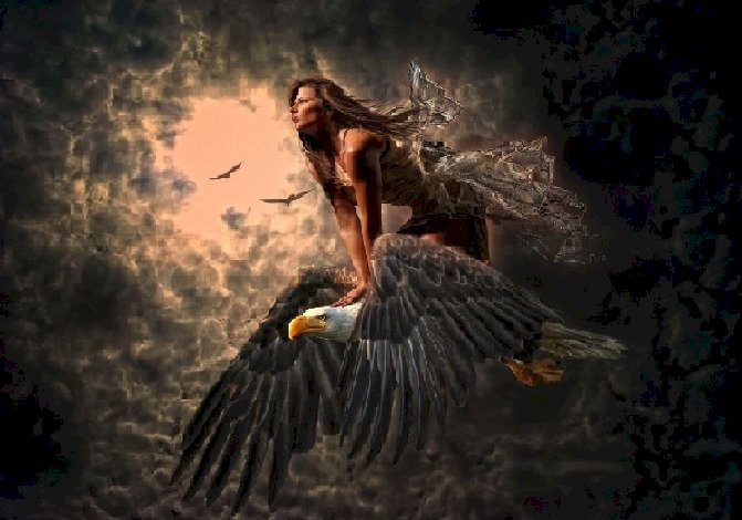Снимка, жена, орел, американски плешив орел онлайн пъзел