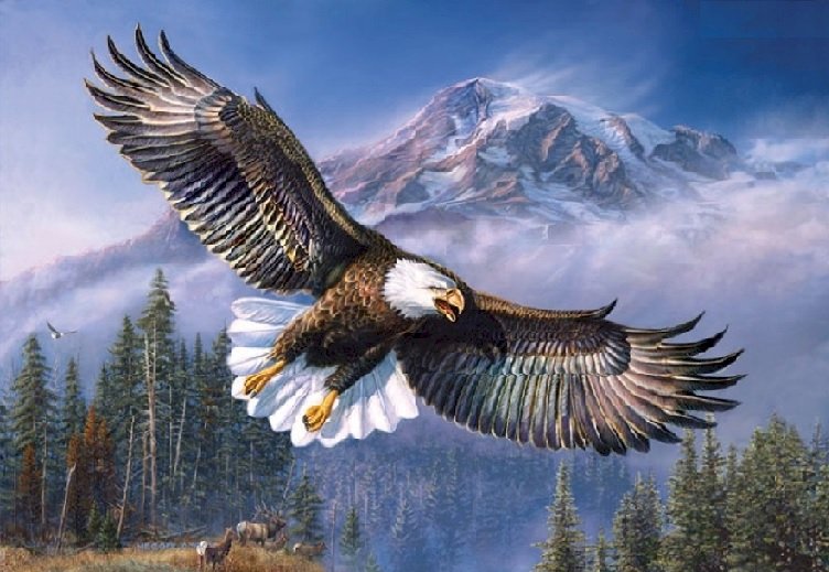 Американський білоголовий орел Джеймс Мегер пазл онлайн