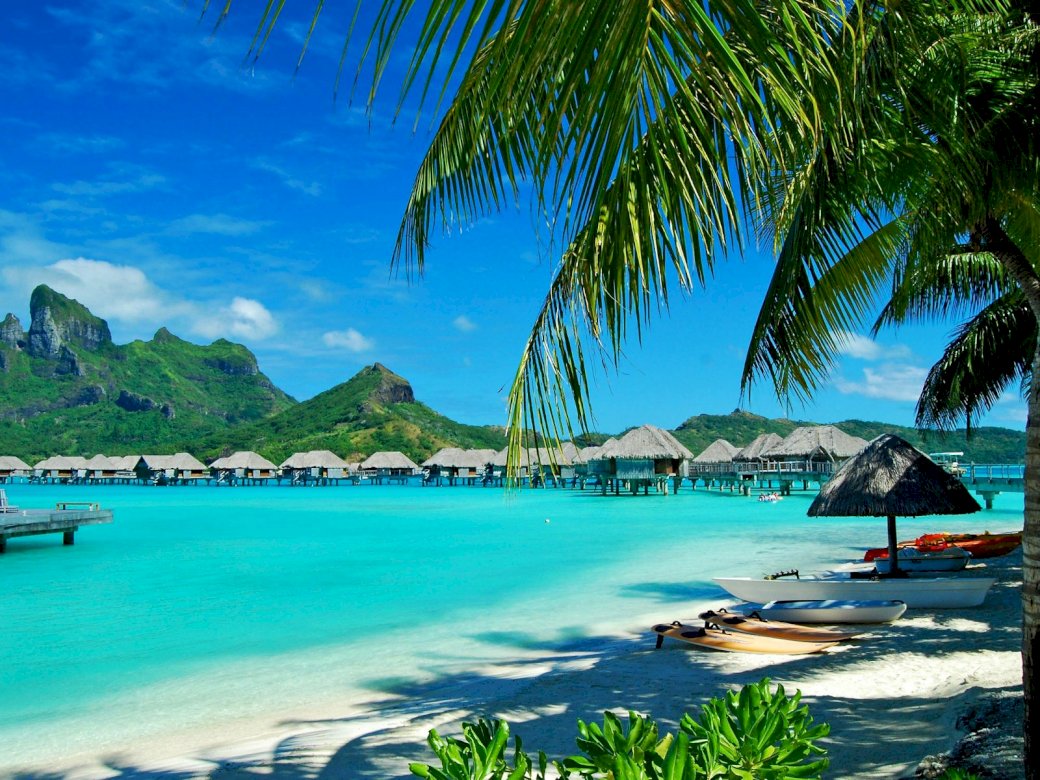 Гаваї, узбережжя, курорт, відпочинок, пальми, пазл онлайн