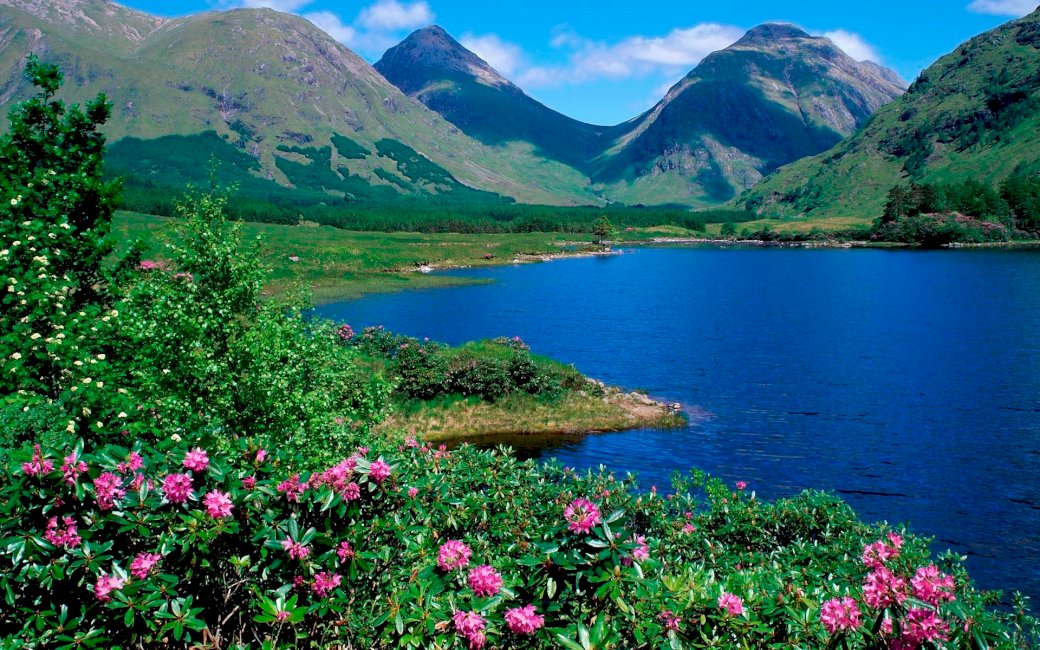 mountains_lake_flowers_slopes_greens_grass_summer_ online puzzel