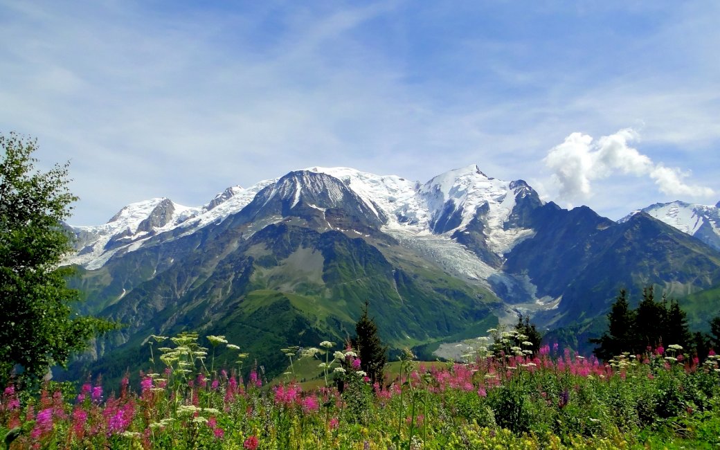 mountains_alps_flowers_tops_freshness puzzle online