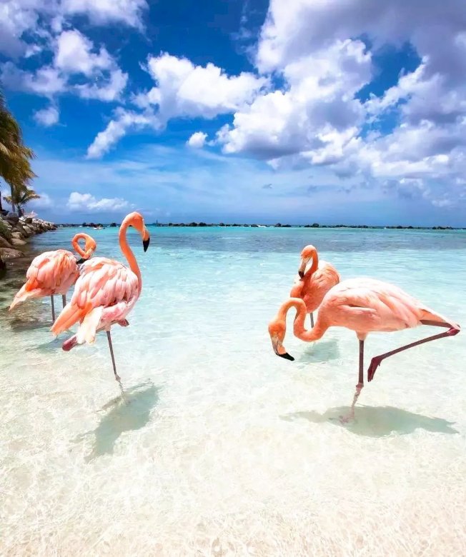 Paradijs Aruba legpuzzel online
