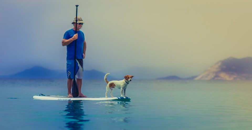 Paddleboarding hombre y perro rompecabezas en línea