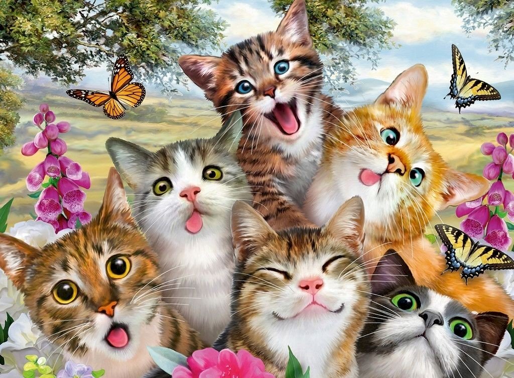 Kočky a motýli. skládačky online